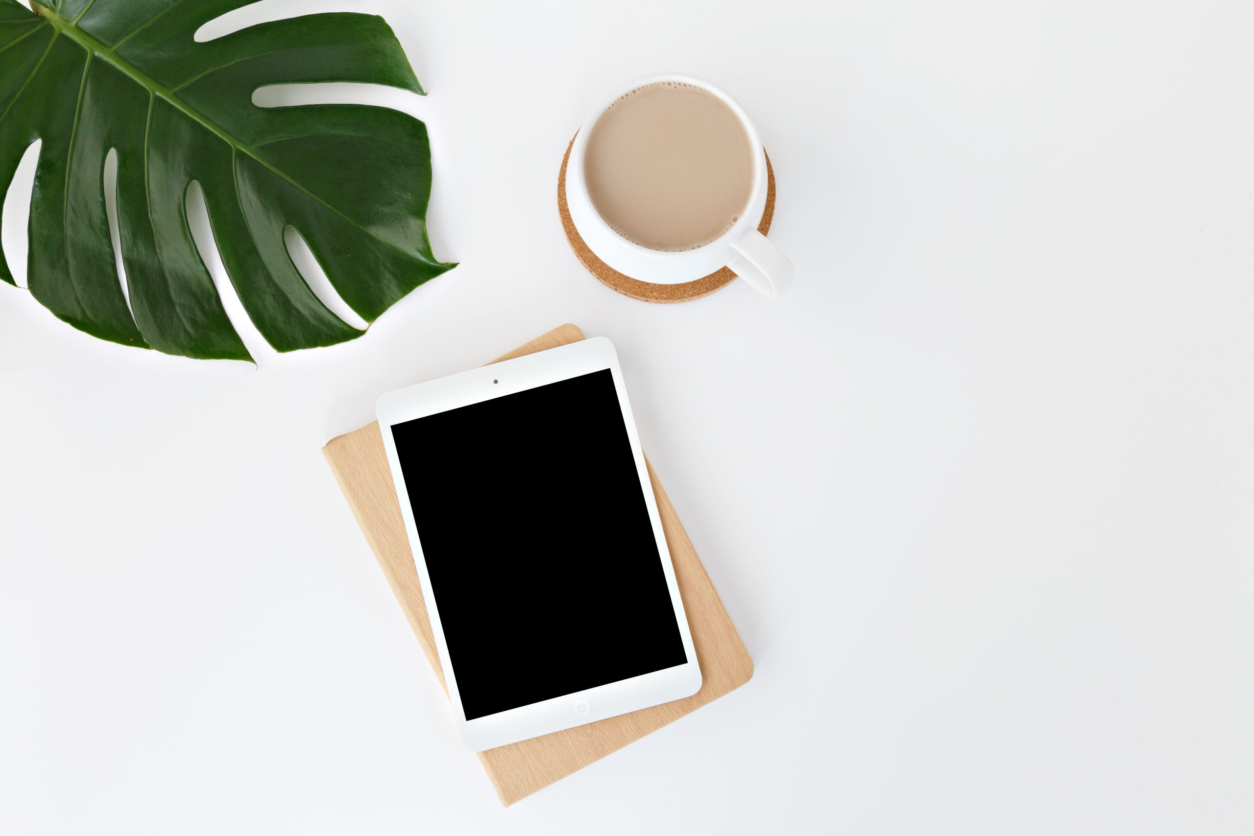 leone-venter-pVt9j3iWtPM-unsplash leone-venter-pVt9j3iWtPM-unsplash